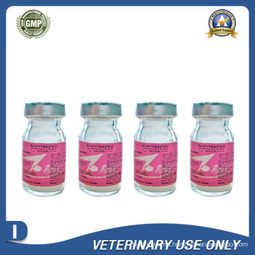 Veterinary Drugs of Streptomycin Sulfate Injection